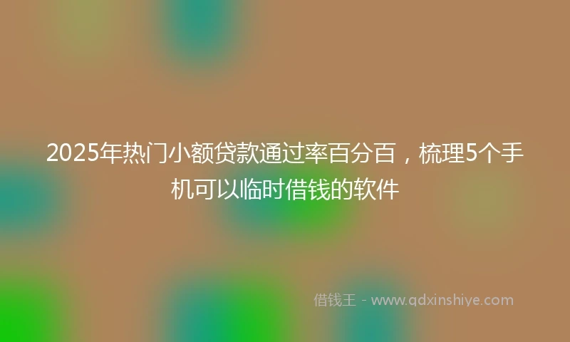 2025年热门小额贷款通过率百分百，梳理5个手机可以临时借钱的软件