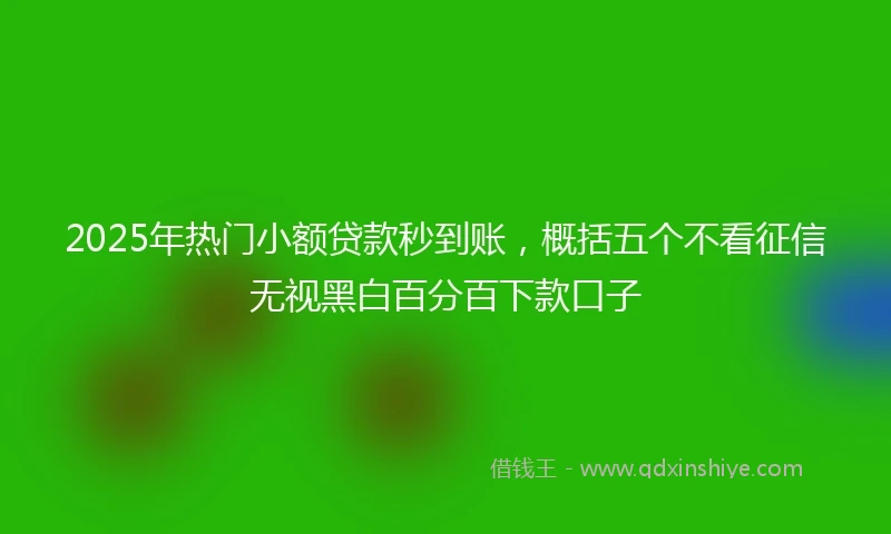 2025年热门小额贷款秒到账，概括五个不看征信无视黑白百分百下款口子