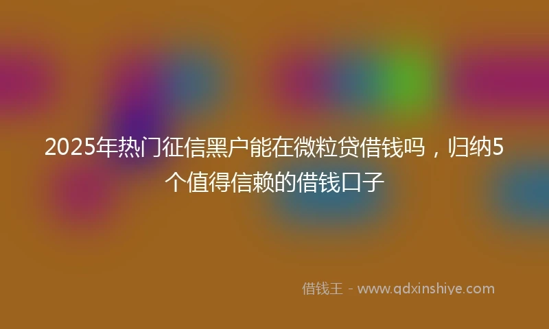 2025年热门征信黑户能在微粒贷借钱吗，归纳5个值得信赖的借钱口子