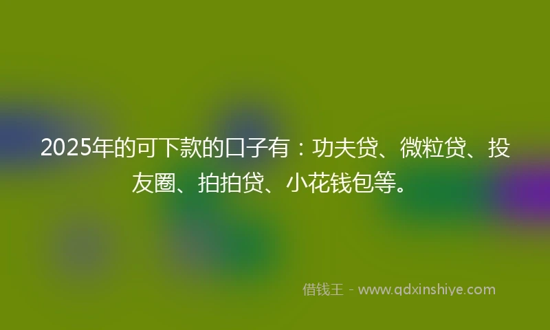 2025年的可下款的口子有：功夫贷、微粒贷、投友圈、拍拍贷、小花钱包等。