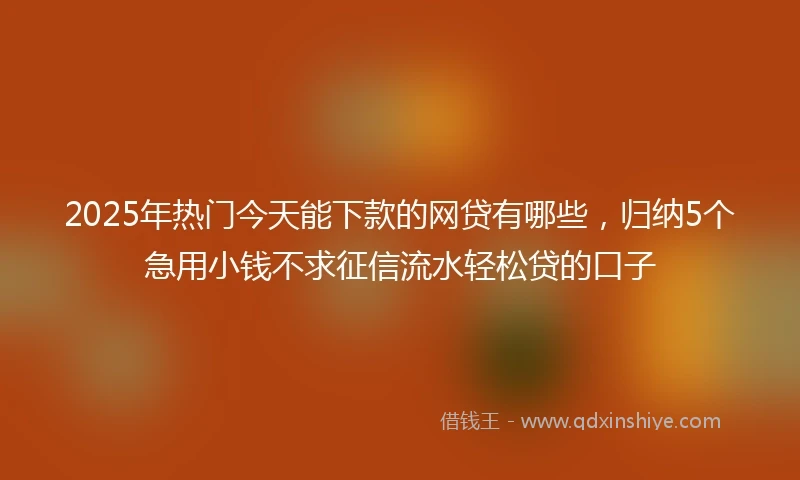 2025年热门今天能下款的网贷有哪些，归纳5个急用小钱不求征信流水轻松贷的口子