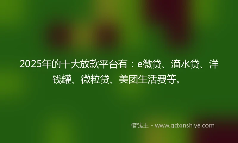 2025年的十大放款平台有：e微贷、滴水贷、洋钱罐、微粒贷、美团生活费等。