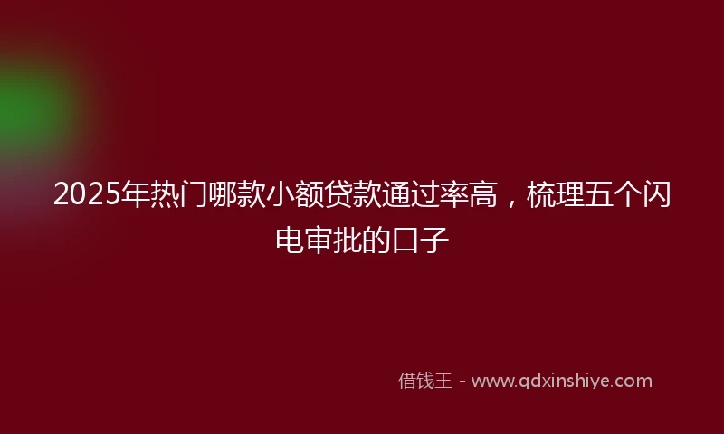 2025年热门哪款小额贷款通过率高，梳理五个闪电审批的口子