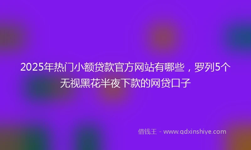 2025年热门小额贷款官方网站有哪些，罗列5个无视黑花半夜下款的网贷口子