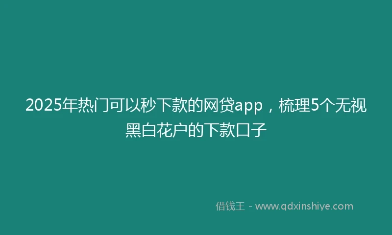 2025年热门可以秒下款的网贷app，梳理5个无视黑白花户的下款口子