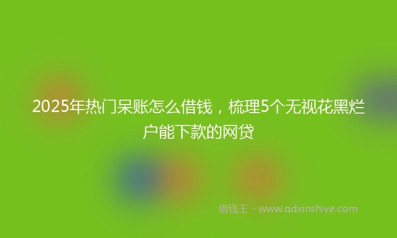 2025年热门呆账怎么借钱，梳理5个无视花黑烂户能下款的网贷