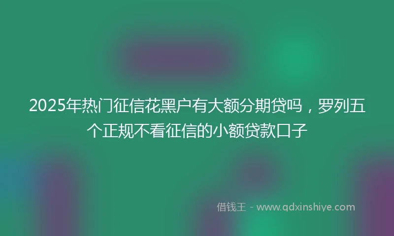 2025年热门征信花黑户有大额分期贷吗，罗列五个正规不看征信的小额贷款口子