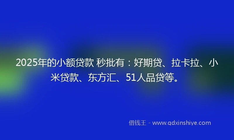 2025年的小额贷款 秒批有：好期贷、拉卡拉、小米贷款、东方汇、51人品贷等。