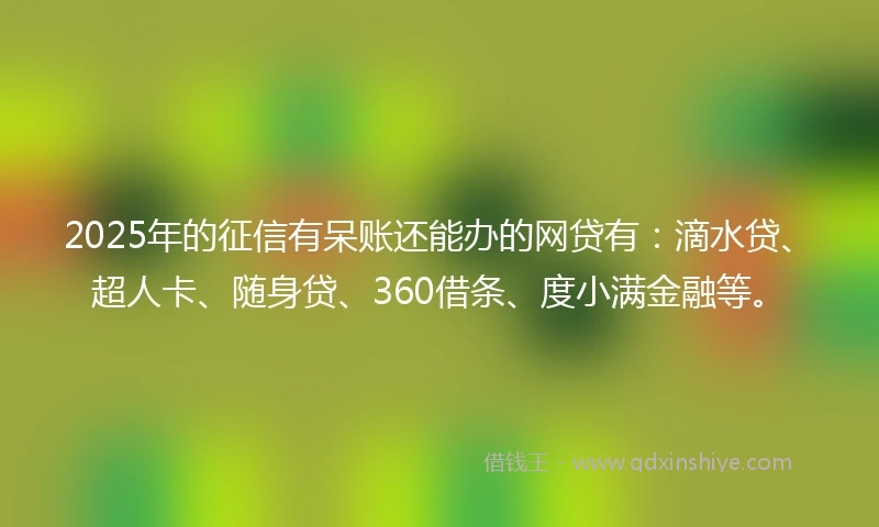 2025年的征信有呆账还能办的网贷有：滴水贷、超人卡、随身贷、360借条、度小满金融等。
