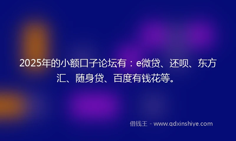 2025年的小额口子论坛有：e微贷、还呗、东方汇、随身贷、百度有钱花等。