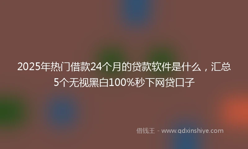 2025年热门借款24个月的贷款软件是什么，汇总5个无视黑白100%秒下网贷口子