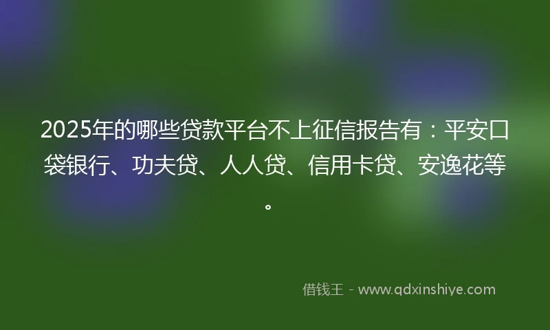 2025年的哪些贷款平台不上征信报告有：平安口袋银行、功夫贷、人人贷、信用卡贷、安逸花等。