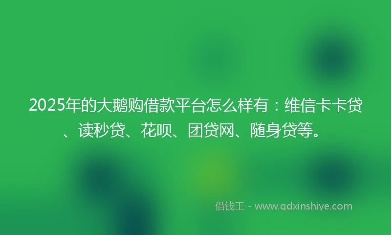 2025年的大鹅购借款平台怎么样有：维信卡卡贷、读秒贷、花呗、团贷网、随身贷等。
