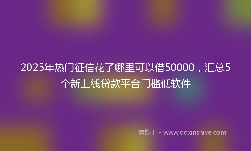 2025年热门征信花了哪里可以借50000，汇总5个新上线贷款平台门槛低软件