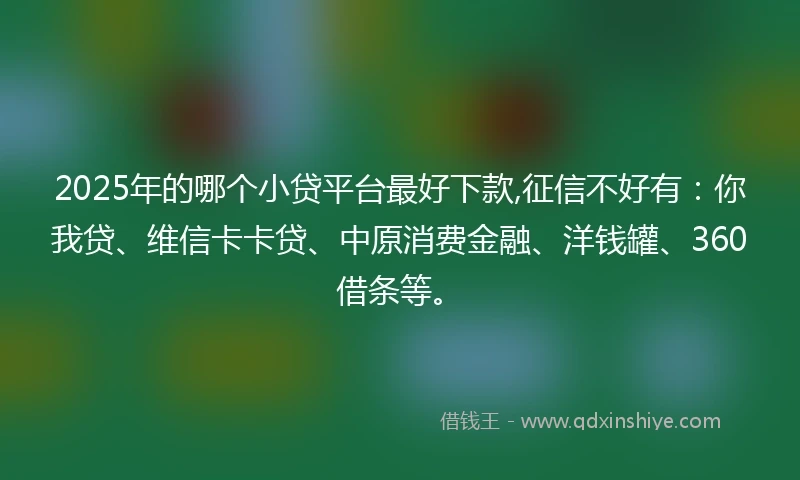 2025年的哪个小贷平台最好下款,征信不好有：你我贷、维信卡卡贷、中原消费金融、洋钱罐、360借条等。