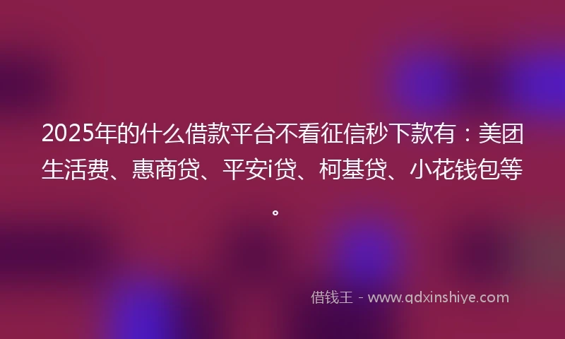 2025年的什么借款平台不看征信秒下款有：美团生活费、惠商贷、平安i贷、柯基贷、小花钱包等。