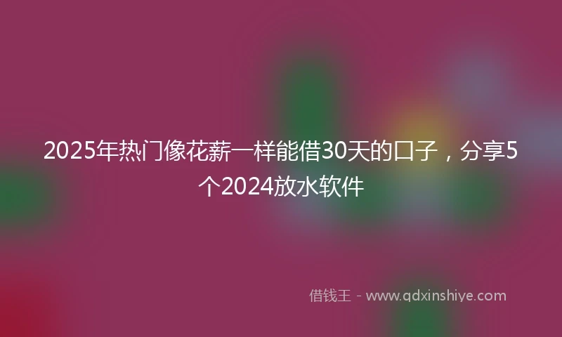 2025年热门像花薪一样能借30天的口子，分享5个2024放水软件