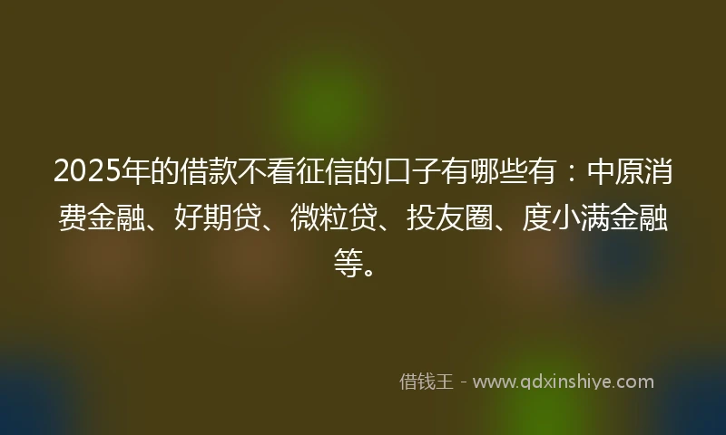 2025年的借款不看征信的口子有哪些有：中原消费金融、好期贷、微粒贷、投友圈、度小满金融等。