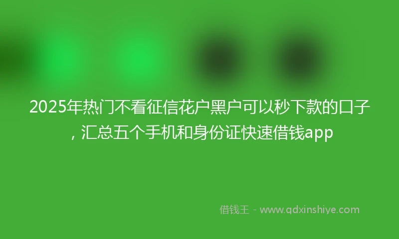 2025年热门不看征信花户黑户可以秒下款的口子，汇总五个手机和身份证快速借钱app