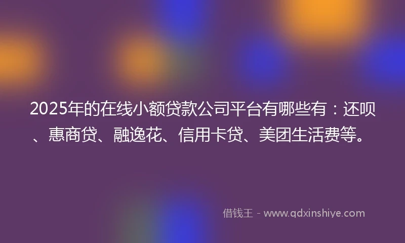 2025年的在线小额贷款公司平台有哪些有：还呗、惠商贷、融逸花、信用卡贷、美团生活费等。