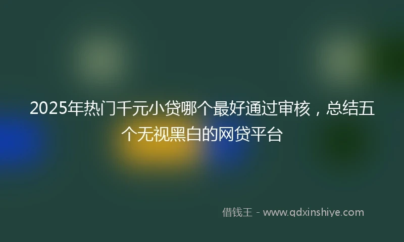 2025年热门千元小贷哪个最好通过审核，总结五个无视黑白的网贷平台