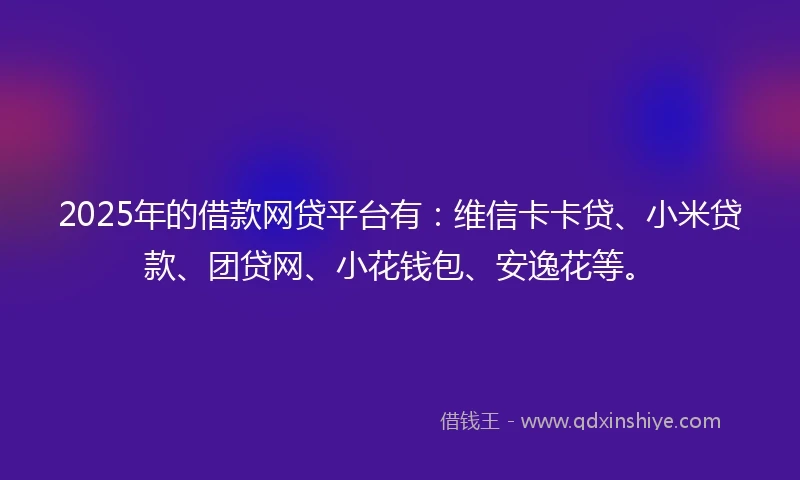2025年的借款网贷平台有：维信卡卡贷、小米贷款、团贷网、小花钱包、安逸花等。
