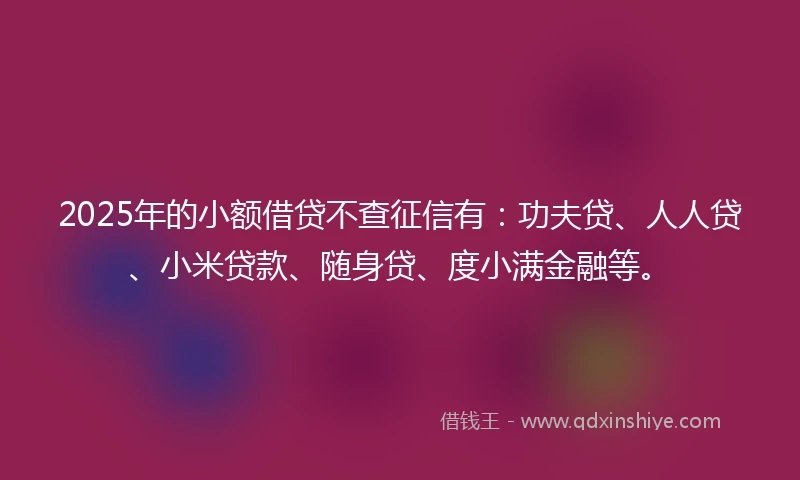 2025年的小额借贷不查征信有：功夫贷、人人贷、小米贷款、随身贷、度小满金融等。