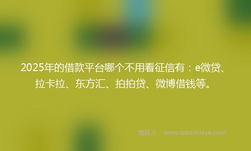 2025年的借款平台哪个不用看征信有：e微贷、拉卡拉、东方汇、拍拍贷、微博借钱等。
