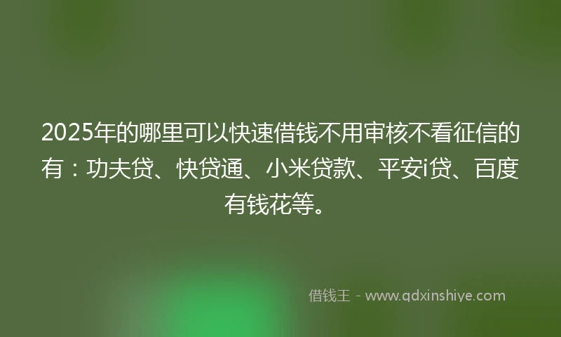 2025年的哪里可以快速借钱不用审核不看征信的有：功夫贷、快贷通、小米贷款、平安i贷、百度有钱花等。