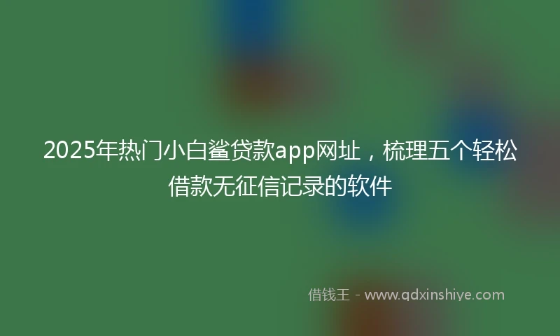 2025年热门小白鲨贷款app网址，梳理五个轻松借款无征信记录的软件