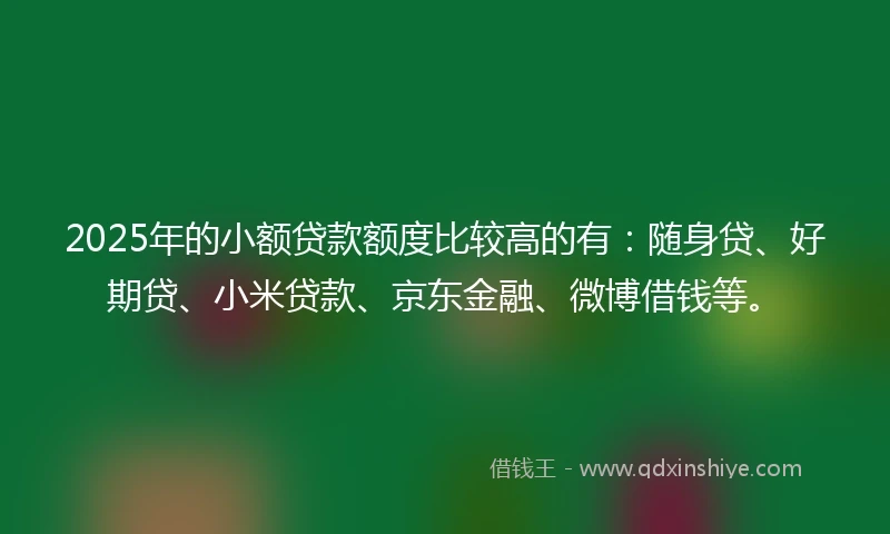 2025年的小额贷款额度比较高的有：随身贷、好期贷、小米贷款、京东金融、微博借钱等。