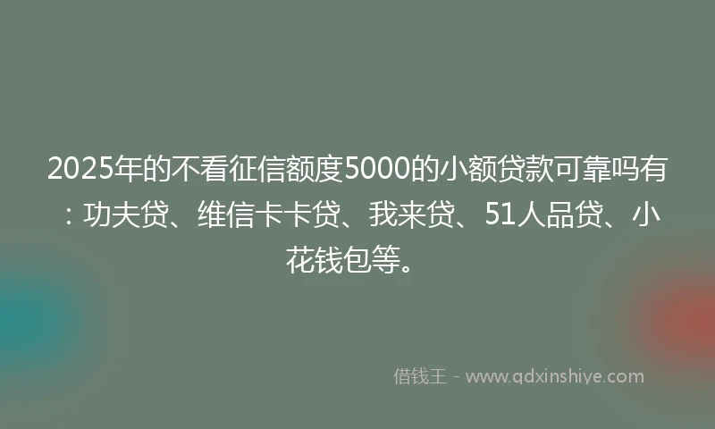 2025年的不看征信额度5000的小额贷款可靠吗有：功夫贷、维信卡卡贷、我来贷、51人品贷、小花钱包等。