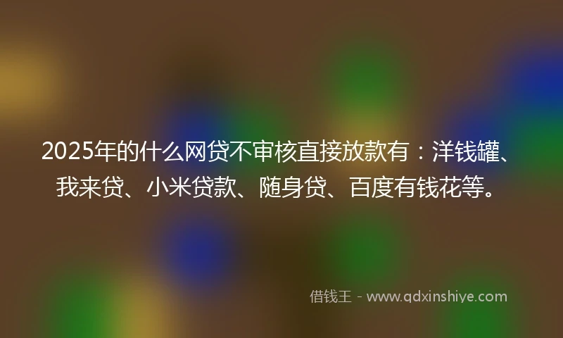 2025年的什么网贷不审核直接放款有：洋钱罐、我来贷、小米贷款、随身贷、百度有钱花等。