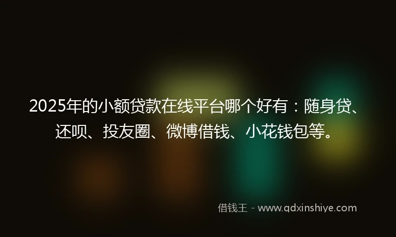 2025年的小额贷款在线平台哪个好有：随身贷、还呗、投友圈、微博借钱、小花钱包等。