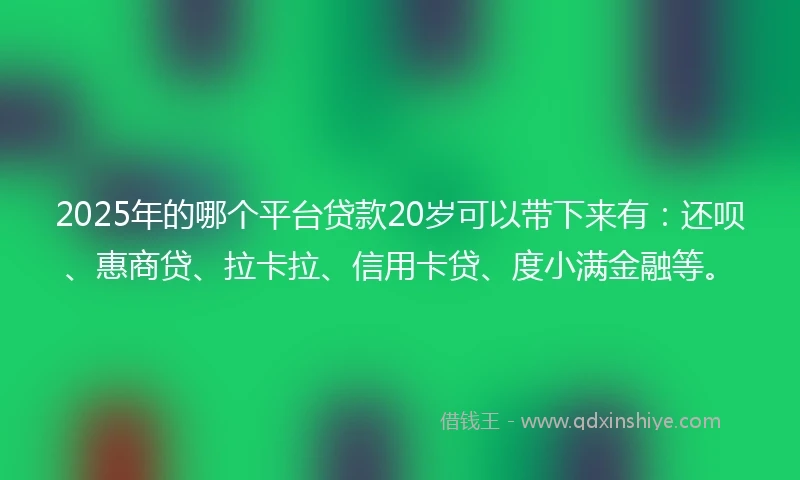 2025年的哪个平台贷款20岁可以带下来有：还呗、惠商贷、拉卡拉、信用卡贷、度小满金融等。