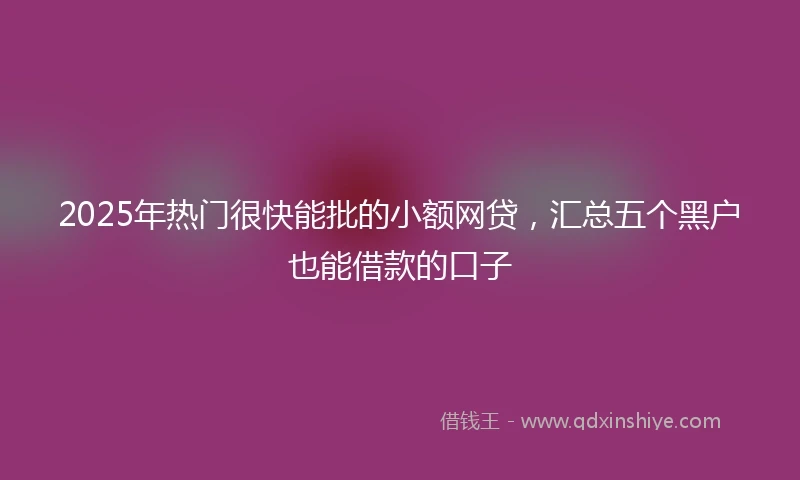 2025年热门很快能批的小额网贷，汇总五个黑户也能借款的口子