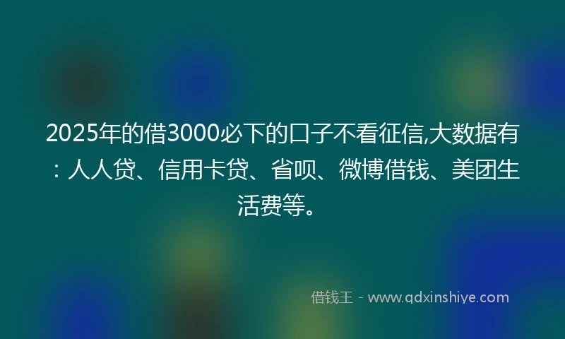 2025年的借3000必下的口子不看征信,大数据有：人人贷、信用卡贷、省呗、微博借钱、美团生活费等。