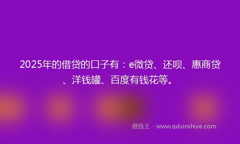 2025年的借贷的口子有：e微贷、还呗、惠商贷、洋钱罐、百度有钱花等。