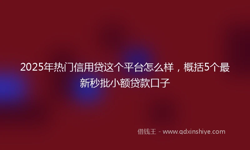 2025年热门信用贷这个平台怎么样，概括5个最新秒批小额贷款口子