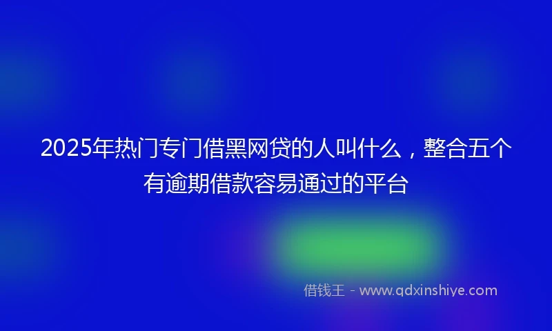 2025年热门专门借黑网贷的人叫什么，整合五个有逾期借款容易通过的平台