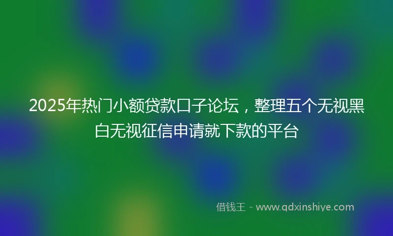 2025年热门小额贷款口子论坛，整理五个无视黑白无视征信申请就下款的平台