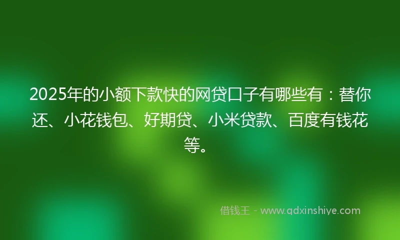 2025年的小额下款快的网贷口子有哪些有：替你还、小花钱包、好期贷、小米贷款、百度有钱花等。