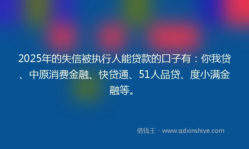 2025年的失信被执行人能贷款的口子有：你我贷、中原消费金融、快贷通、51人品贷、度小满金融等。