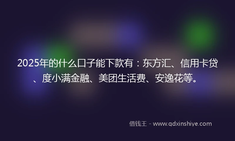 2025年的什么口子能下款有：东方汇、信用卡贷、度小满金融、美团生活费、安逸花等。