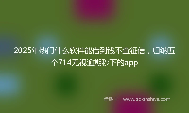 2025年热门什么软件能借到钱不查征信，归纳五个714无视逾期秒下的app