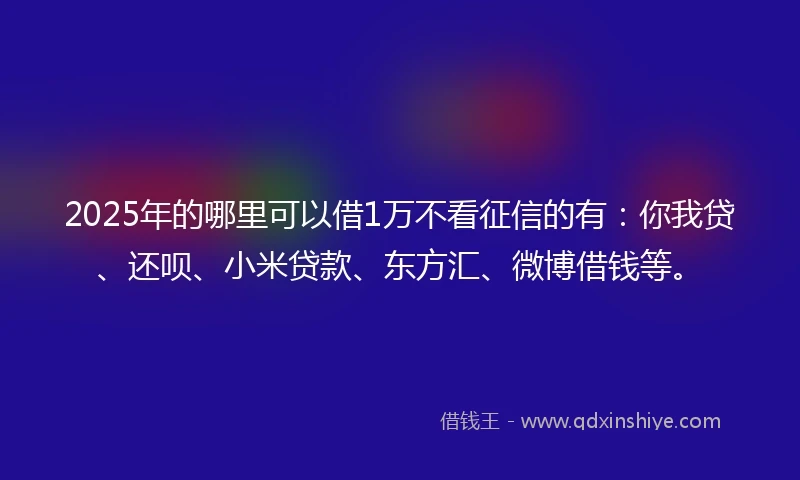 2025年的哪里可以借1万不看征信的有：你我贷、还呗、小米贷款、东方汇、微博借钱等。