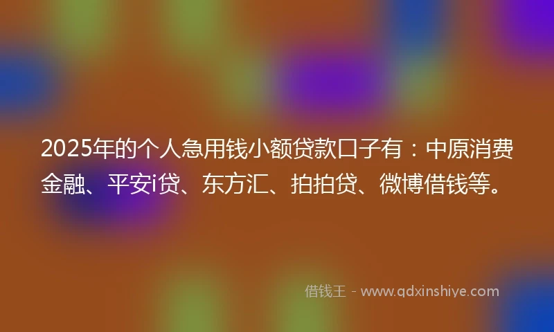 2025年的个人急用钱小额贷款口子有：中原消费金融、平安i贷、东方汇、拍拍贷、微博借钱等。