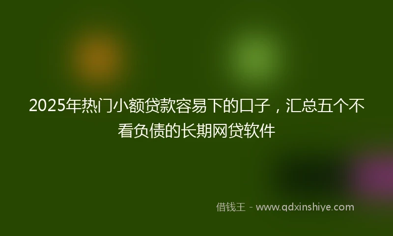 2025年热门小额贷款容易下的口子，汇总五个不看负债的长期网贷软件
