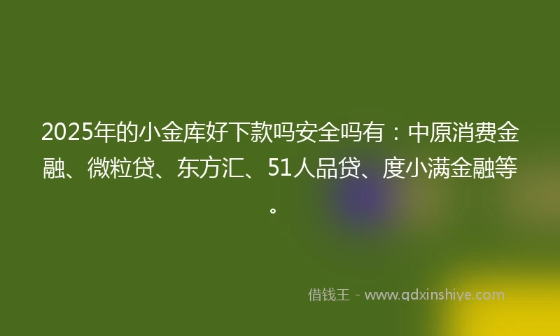 2025年的小金库好下款吗安全吗有：中原消费金融、微粒贷、东方汇、51人品贷、度小满金融等。