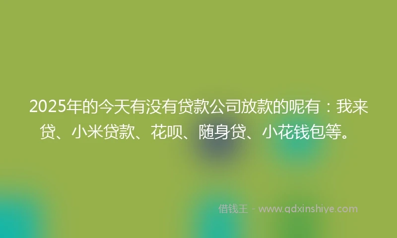 2025年的今天有没有贷款公司放款的呢有：我来贷、小米贷款、花呗、随身贷、小花钱包等。